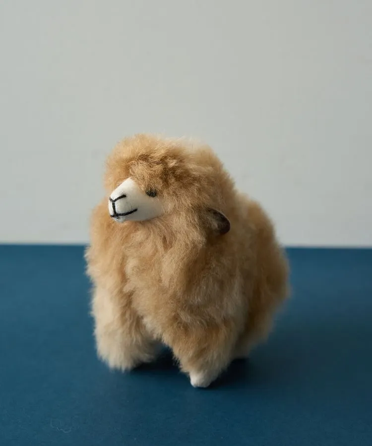 Cute｜商品クレジット